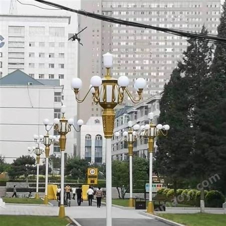 ZZZM0173定制LED中华灯 路灯广场公园 景观道路照明玉兰灯 高杆中华灯