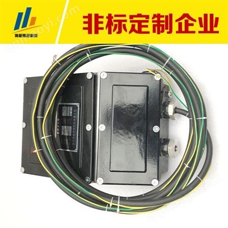 JHGD-15防爆高能点火器JHGD-15输入电压220VAC防爆等级ExdeIIBT