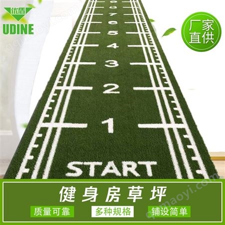 运动草坪 跑道刻度白线人造草地毯 私教运动仿真草垫 健身房草坪
