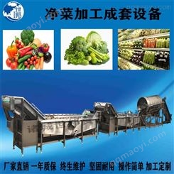 供应全自动果蔬清洗机 不锈钢气泡清洗机 黄桃果蔬气泡清洗机